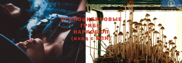 трава Няндома