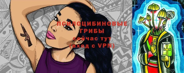 амф Нязепетровск
